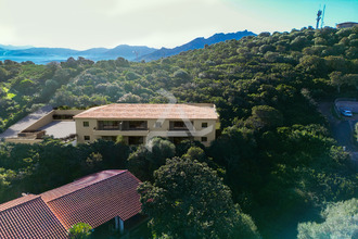  appartement propriano 20110