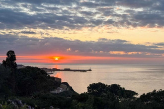  appartement propriano 20110