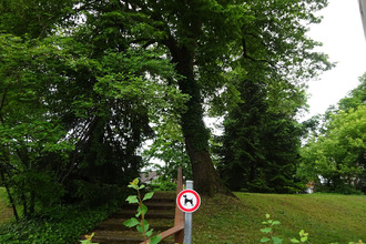  appartement riedisheim 68400