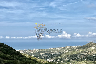  appartement santa-reparata-di-balagna 20220