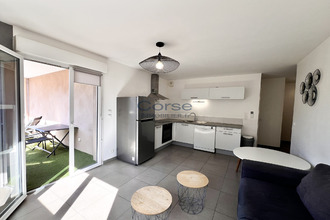  appartement sarrola-carcopino 20167