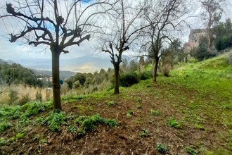  appartement sartene 20100