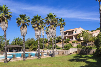  appartement sartene 20100