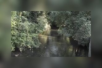  appartement sausheim 68390