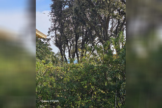  appartement sausset-les-pins 13960