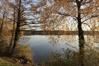  appartement segny 01170