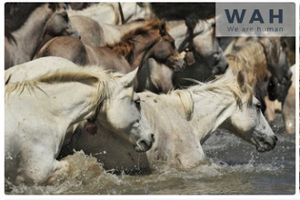  appartement sommieres 30250