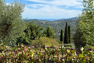  appartement speracedes 06530