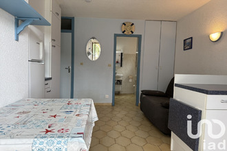  appartement st-cyprien 66750