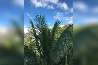  appartement st-denis 97400