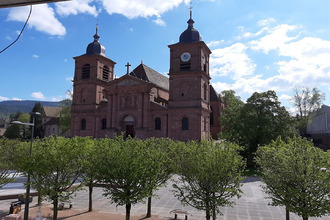  appartement st-die-des-vosges 88100