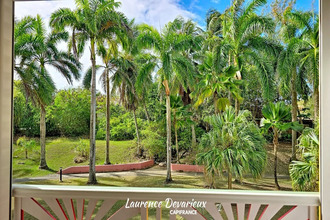  appartement st-francois 97118