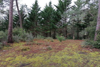  appartement st-jean-de-mts 85160