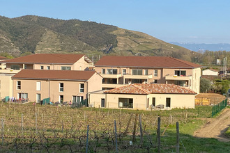  appartement st-jean-de-muzols 07300