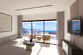  appartement st-martin 97150