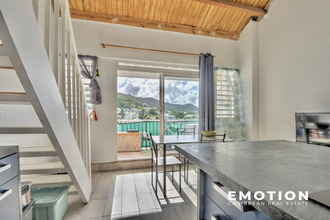  appartement st-martin 97150