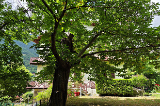  appartement st-martin-vesubie 06450