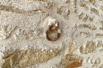  appartement ste-marie-la-blanche 21200