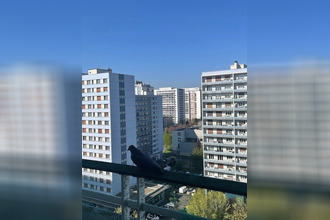  appartement strasbourg 67000