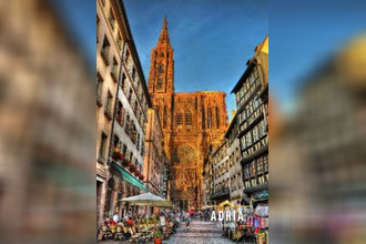  appartement strasbourg 67100