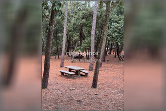  appartement talmt-st-hilaire 85440