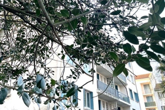  appartement toulouse 31000