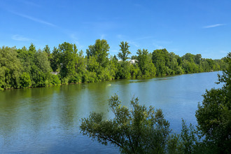  appartement toulouse 31400