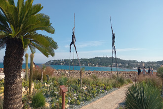  appartement vallauris 06220