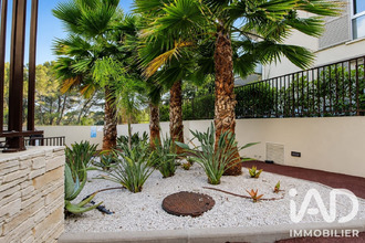  appartement vallauris 06220