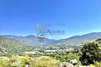  appartement valle-di-rostino 20235