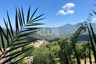  appartement venaco 20231