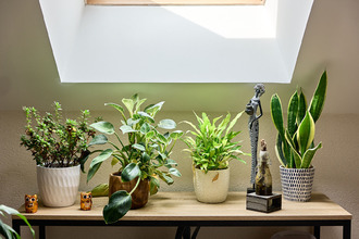  appartement vesoul 70000