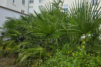  appartement vichy 03200