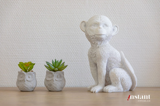  appartement villeurbanne 69100