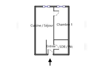  appartement villeurbanne 69100