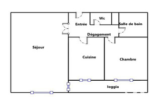  appartement villeurbanne 69100