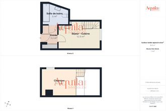  appartement villeurbanne 69100
