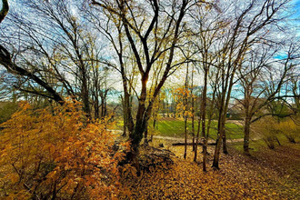  appartement villeurbanne 69100