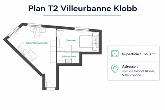  appartement villeurbanne 69100