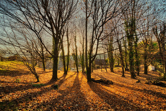  appartement voiron 38500