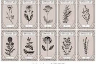  boutique andernos-les-bains 33510