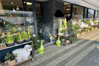  boutique angers 49000