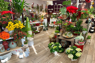  boutique angers 49000