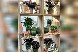 boutique angers 49000