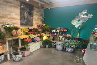  boutique bordeaux 33000