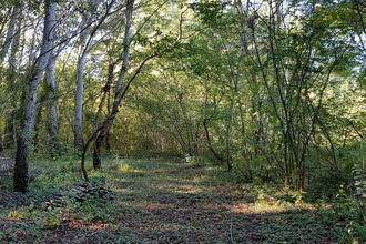  boutique bouchet 26790