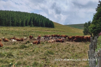  boutique clermt-ferrand 63000