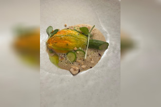  boutique cogolin 83310