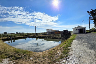  boutique dolus-d-oleron 17550