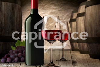  boutique douarnenez 29100